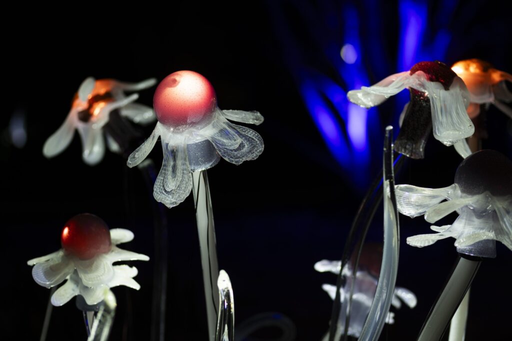 V pražské Troji se rozzářila Křišťálová zahrada. Zimní expozice botanické zahrady ožívají skleněnou symfonií