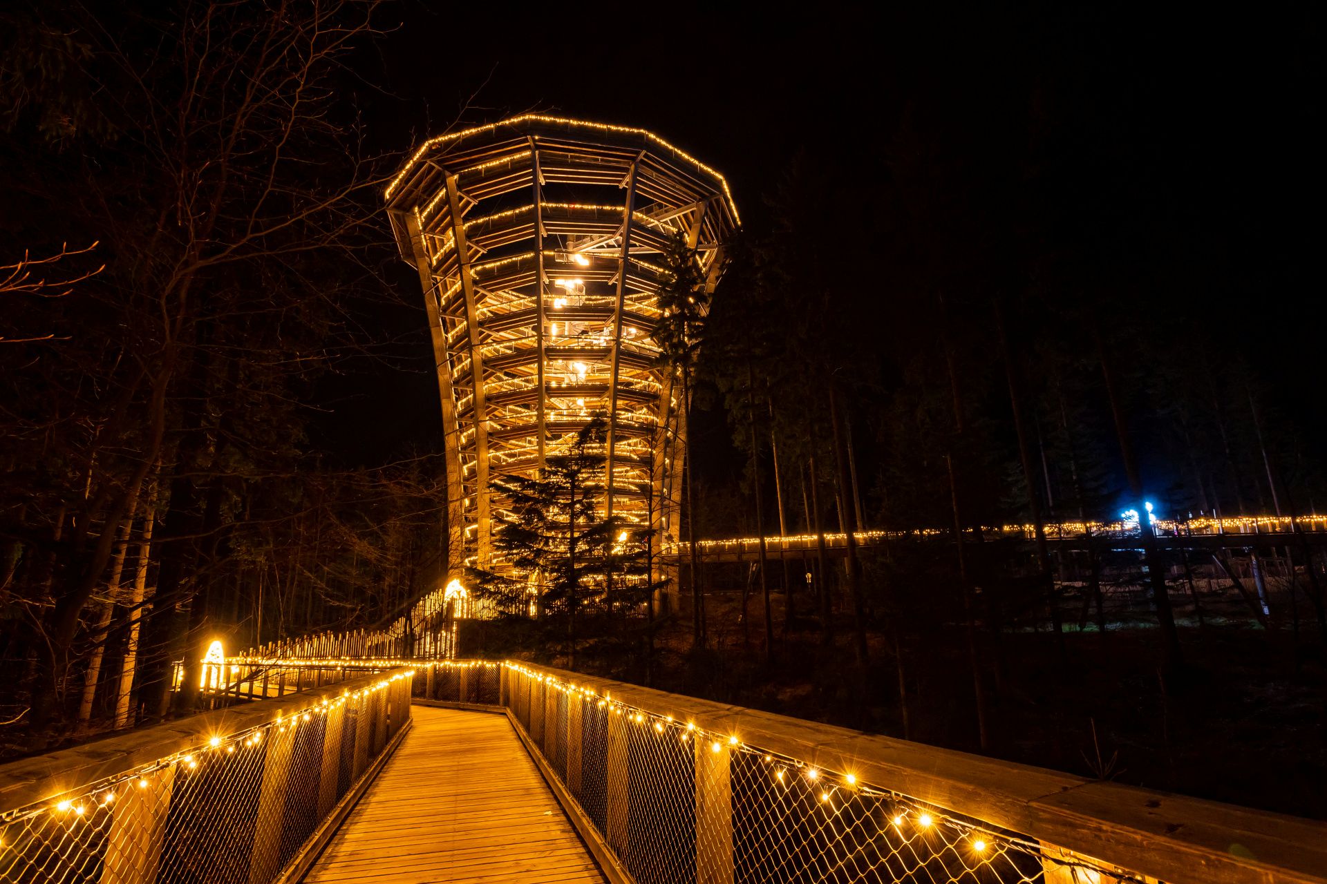 Fanděte českým hvězdám z korun stromů: Janské Lázně spojují zimní hry s magickou světelnou show