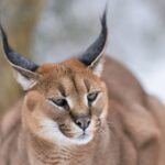 Foto 2_Z09_7959_export