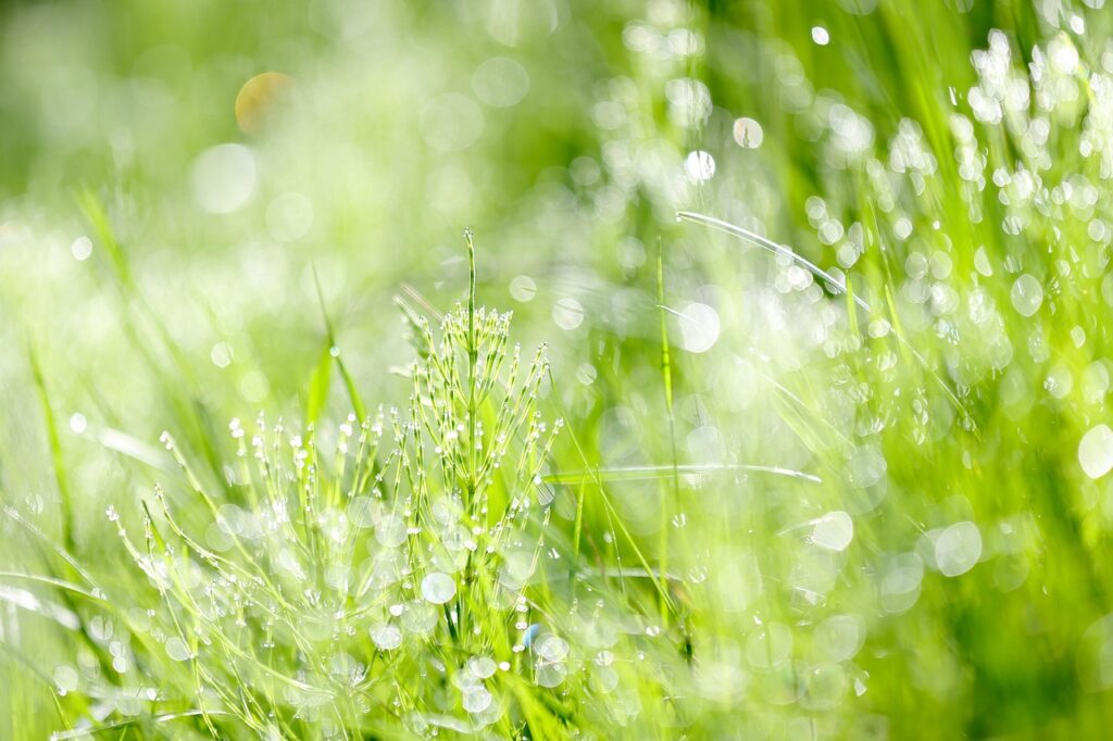 Počasí v Česku: Po víkendu přichází oteplení a konečně pravé jaro. Těšte se i na 18 °C