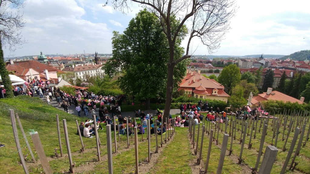 Bubble Wine Fest 2026 ve Villa Richter: Svatováclavská vinice pod Pražským hradem ožije svátkem bublinek