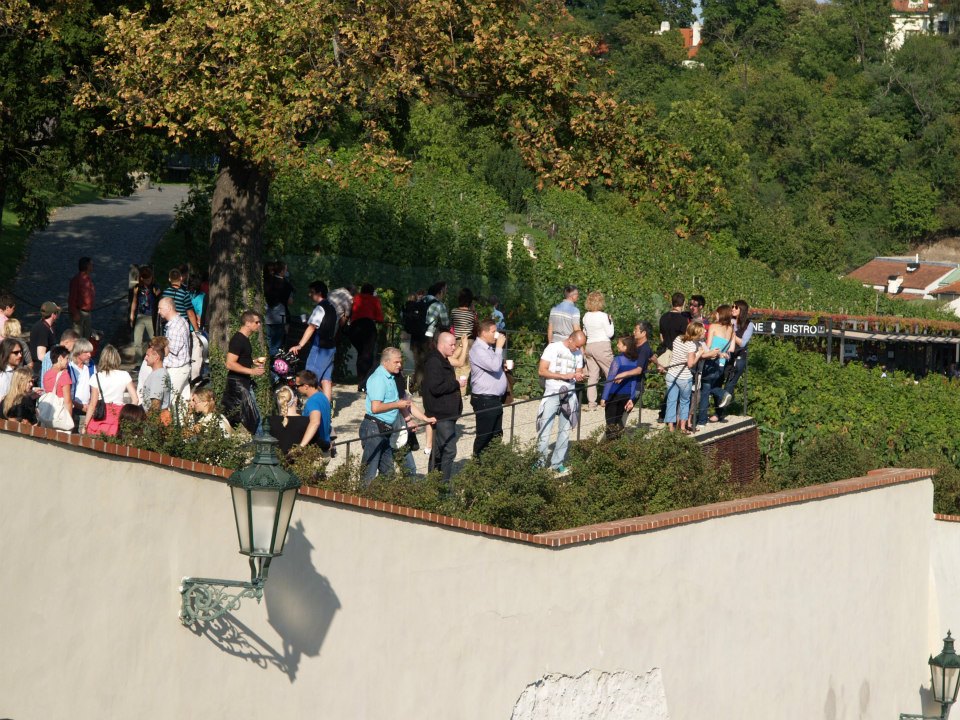Bubble Wine Fest 2026 ve Villa Richter: Svatováclavská vinice pod Pražským hradem ožije svátkem bublinek