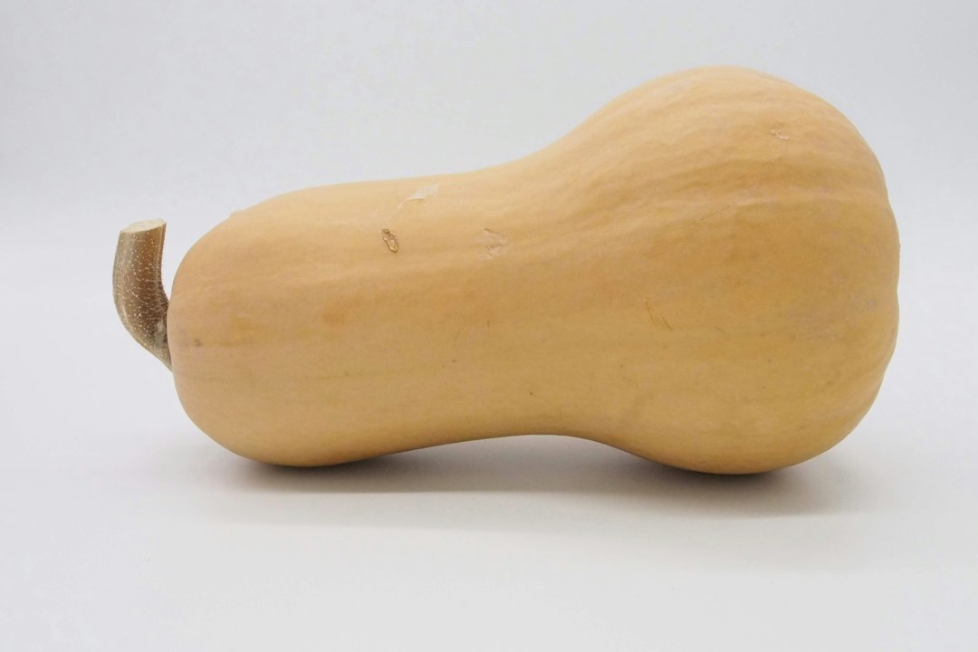 Celé máslové dýně připravené ke skladování